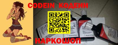 apvp Кингисепп