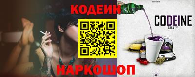 apvp Кингисепп
