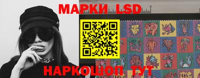 apvp Кингисепп