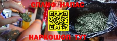 apvp Кингисепп
