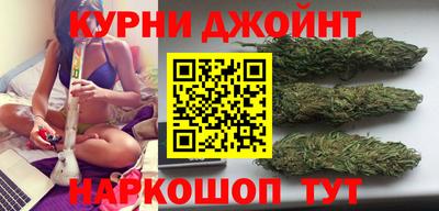 apvp Кингисепп