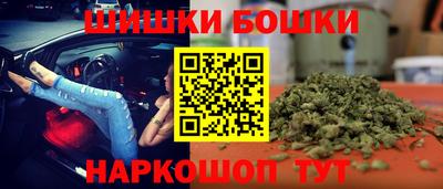 apvp Кингисепп