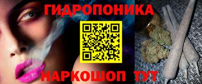 apvp Кингисепп