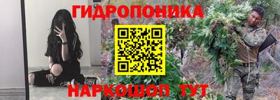 apvp Кингисепп