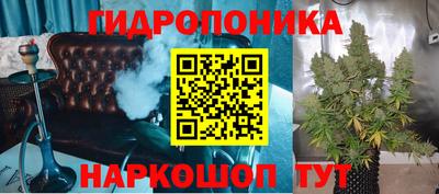 apvp Кингисепп