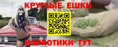 apvp Кингисепп