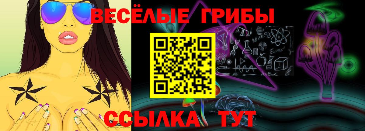 Псилоцибиновые грибы GOLDEN TEACHER Бузулук